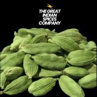 THE GREAT INDIAN  SPICE COMPANY logo - Similar company to Spice Route Solutions