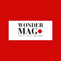 Wonder Mag Italia logo - Similar company to Viadellearti