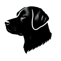 Black Lab Agency logo - Similar company to Remotely Virtual Services, Inc