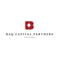 BAQ Capital Partners logo - Similar company to Zircon Securities