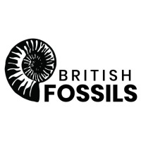 British Fossils logo - Similar company to Cold River Mining