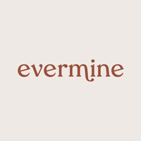 evermine logo - Similar company to Nevitec Vision Technologies
