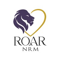 ROAR NRM logo - Similar company to Softpulse Llc