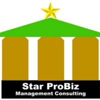 Starprobiz Consulting logo - Similar company to Siloina