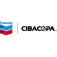 Liga Chevron CIBACOPA logo - Similar company to Nxtone