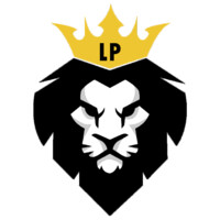 LP Gestão empresarial logo - Similar company to Ajil Solução E Engenharia
