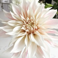 Tina Barkley Consulting