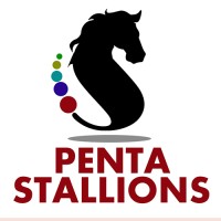 Pentastallion Software Solutions. logo - Similar company to Software Works