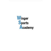 WINGER SPORTS ACADEMY logo - Similar company to Studycare