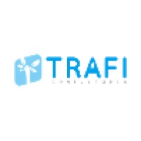 Trafi Consultoria E Treinamento