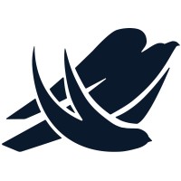 Falcon & Swift Geomatics logo - Similar company to In•Flight Data