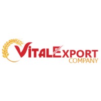 Vital Export Company logo - Similar company to Brilliant Management System