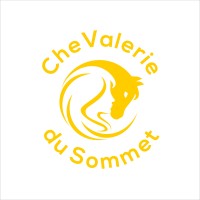CheValerie du Sommet logo - Similar company to Java Leadership & Management