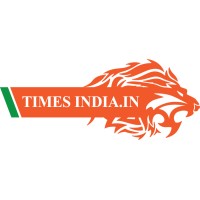 TIMES INDIA logo - Similar company to Dalopa S.A.