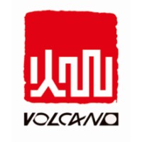 Zhejiang Volcano Electrical Technology Co., Ltd logo - Similar company to Jiangsu Ryan Electric