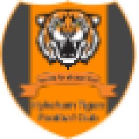Hykeham Tigers Fc