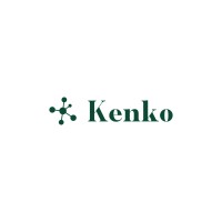 Kenko LTD logo - Similar company to Bms Digital Safety