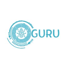 Bugs Guru logo - Similar company to Coderuss