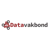Datavakbond logo - Similar company to Data4Development