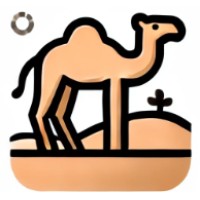 camelCase logo - Similar company to Camelcase Collective
