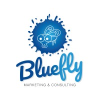 Blue Fly Business Solutions