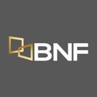BNF - Banco Nacional de Fomento logo - Similar company to Valorix