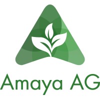 Amaya Ag logo - Similar company to Symloop Technology