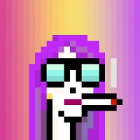 paladinpunks logo - Similar company to Casadata Cv