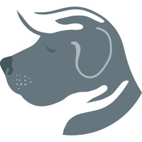 Grey Whiskers Senior Dog Services logo - Similar company to Green Bug Adventures