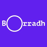 Borradh logo - Similar company to Goosed.Ie