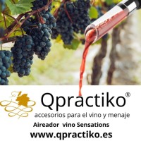 Qpractiko logo - Similar company to Mediterrània De Prevenció