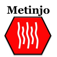 Metinjo Metalização Industrial e Importação Joseense logo - Similar company to Mt Avionics Services