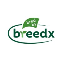 BreedxLTD logo - Similar company to Bing Klima