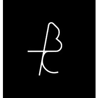THE BT COLLECTIVE AGENCY logo - Similar company to The Wild Feather Podcast