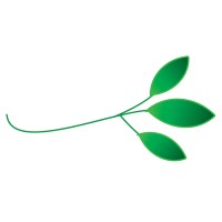 Conscious Wellness, LLC logo - Similar company to Conscious Wellness Group