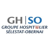 GROUPE HOSPITALIER SELESTAT OBERNAI logo - Similar company to Centre Hospitalier D'Erstein