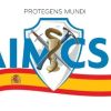 AIMCSE logo - Similar company to Grupo Security Framework