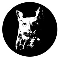 Authentic Transport Fine Art Services logo - Similar company to Dynamik Influence
