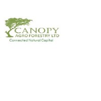 Canopy AgroForestry logo - Similar company to Ikó Drinks