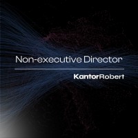 Non-Executive Director logo - Similar company to Office Of Executive Director For Arab States & The Maldives - Imf