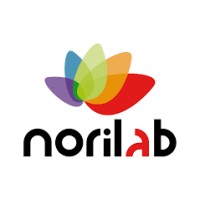 Norilab Iberia logo - Similar company to Flowsdr