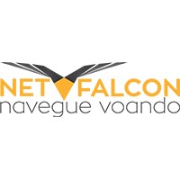 Netfalcon Acesso a Internet logo - Similar company to Radiusnet