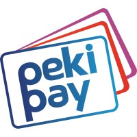 PekiPay logo - Similar company to Dtpay