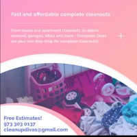 Dumpster Diva's LLC logo - Similar company to Dumpster Intervention Patrol, Llc