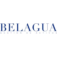 Belagua Asset Management logo - Similar company to Belagua
