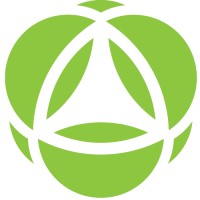 Next Element logo - Similar company to Bsmart Communication B.V.