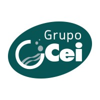 Grupo Cei logo - Similar company to Arregui