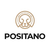 Positano - Managament, Accountancy, Consultancy logo - Similar company to Гражданско Движение Будител