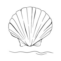 Coastal Canvas Design Studio logo - Similar company to Camio Pr