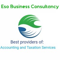 Eso Business Consultancy (Pty) Ltd logo - Similar company to Capital Cmc - Capital Pfs Group